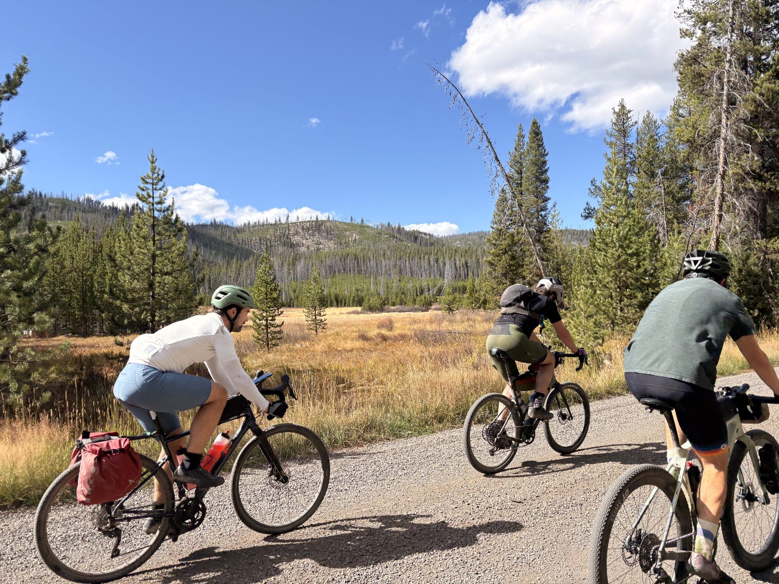 Group riding past a meadow