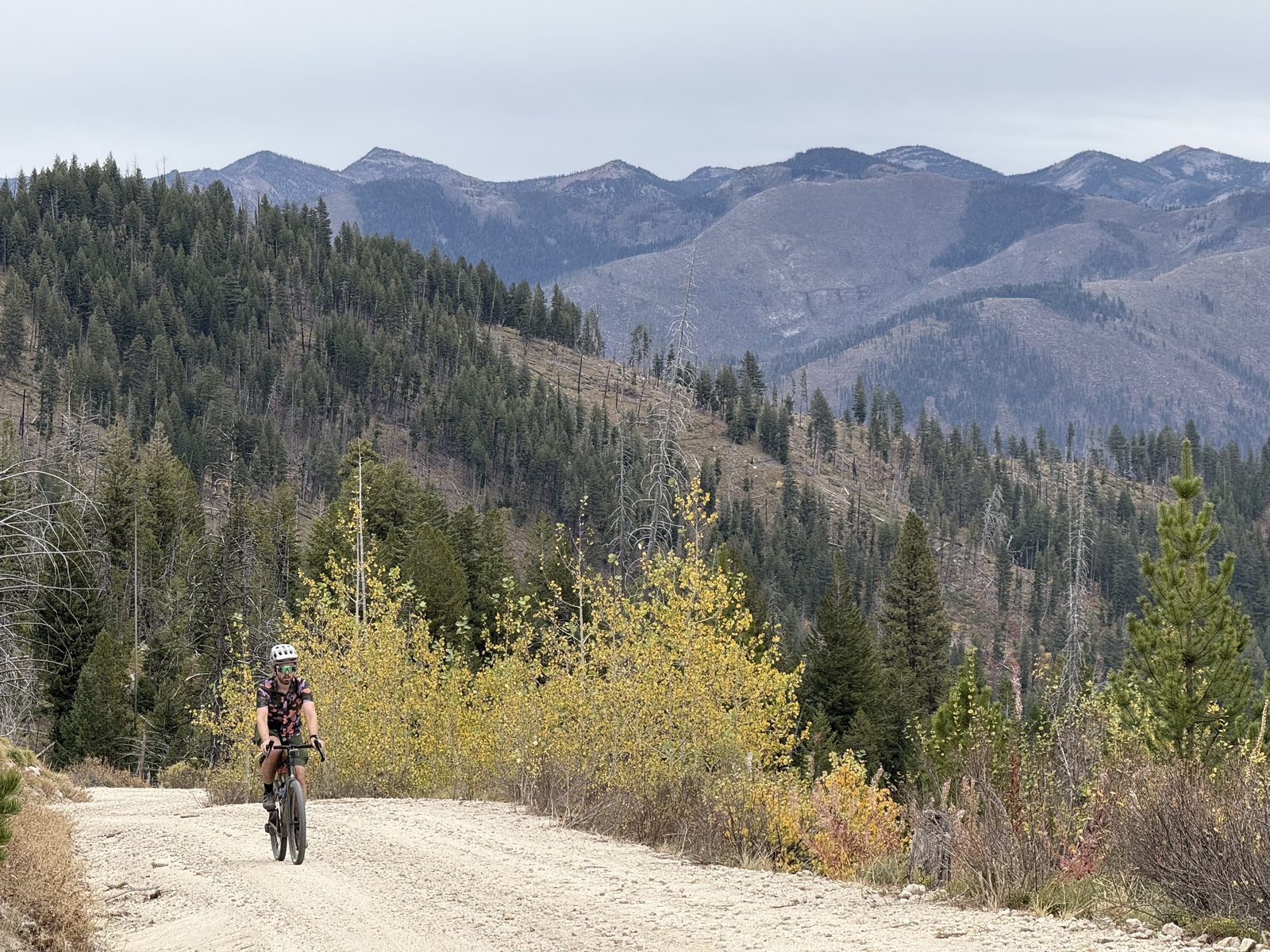Riding through yellow aspens near Warren Summit